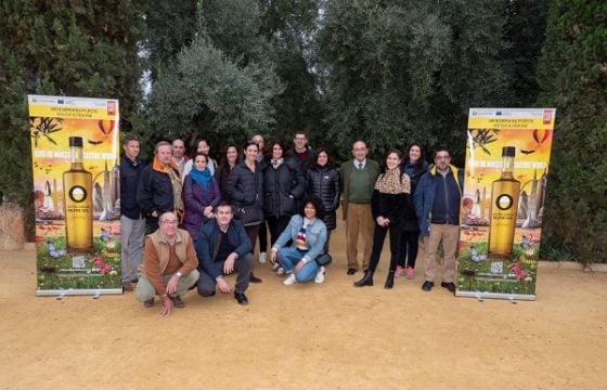 Periodistas estadounidenses y españoles admiran el mayor olivar del mundo desde el cielo